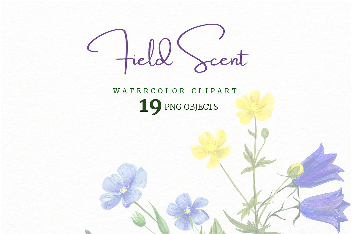 Field Watercolor Flowers, an Object Graphic by JSolomatina (Photo 5 of 5)