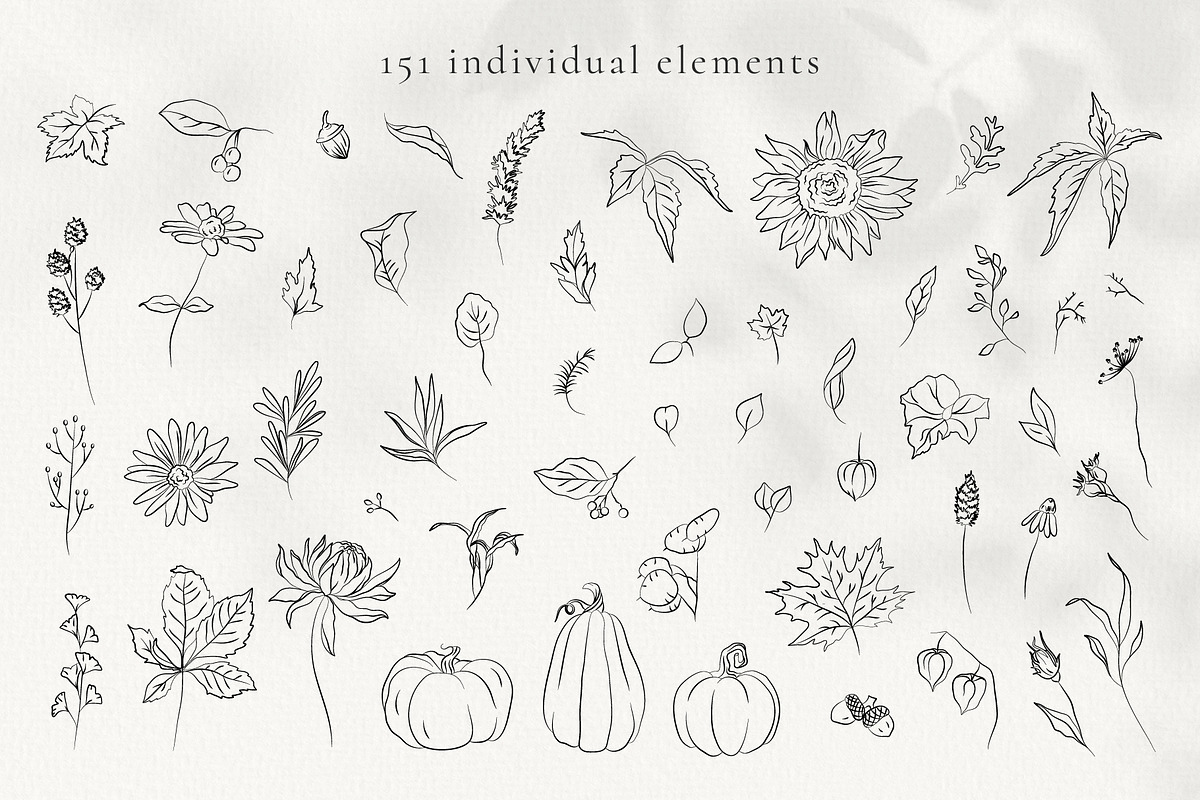 Autumn Botanicals Line Art Clipart, a Decorative Illustration by La Petite Line Art (Photo 3 of 14)