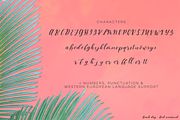 Beach Day Script, a Script Font by Beck McCormick (Thumbnail 10 of 11)