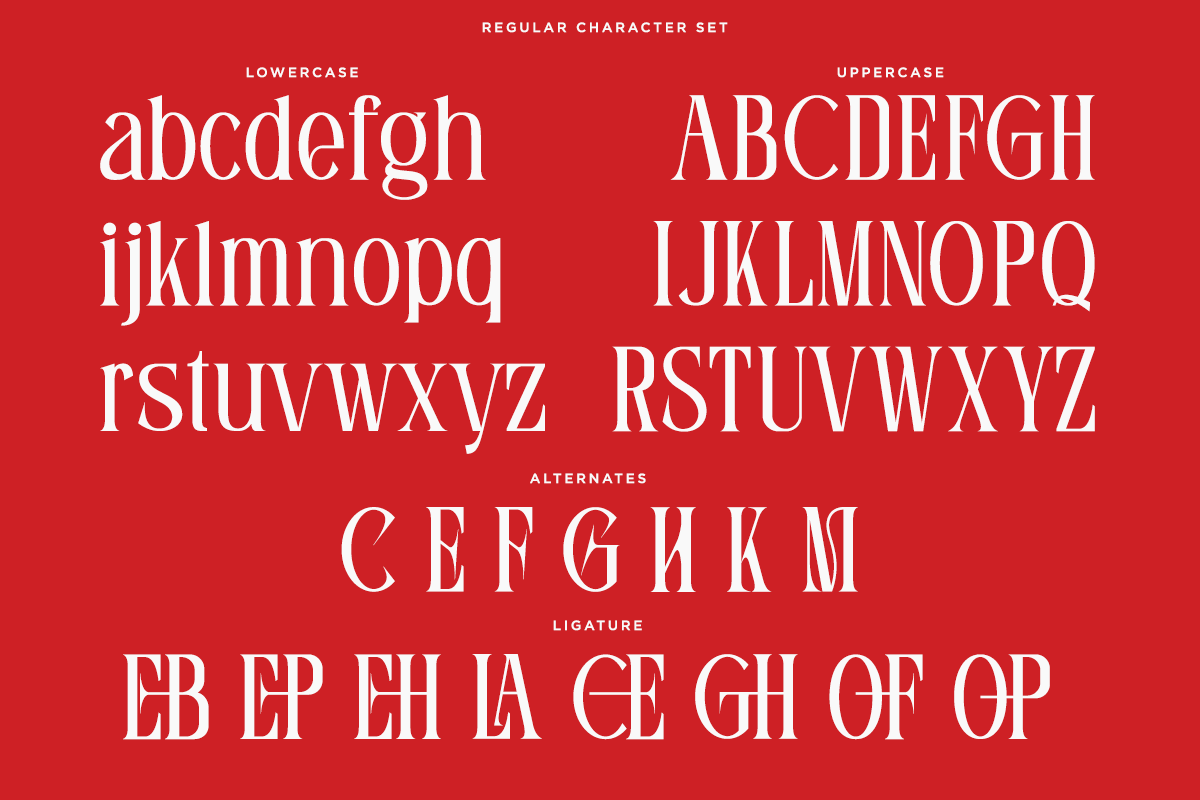 Mofela - Ligature Serif Font, a Serif Font by Font Liner (Photo 11 of 13)