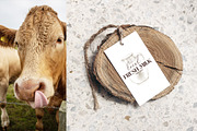 Farm fresh dairy products collection, a Food Illustration by handsketched (Thumbnail 13 of 14)