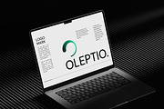 Oleptio | Brand Guidelines Template, a Presentation Template by Artisan Vibes (Thumbnail 2 of 10)