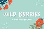 Wild Berries Handwritten Font, a Handwritten Font by Balpirick Studio (Thumbnail 1 of 6)