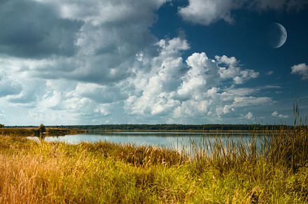 landscape near the river, a Photo by Pictures for you!!!!!!!!!
