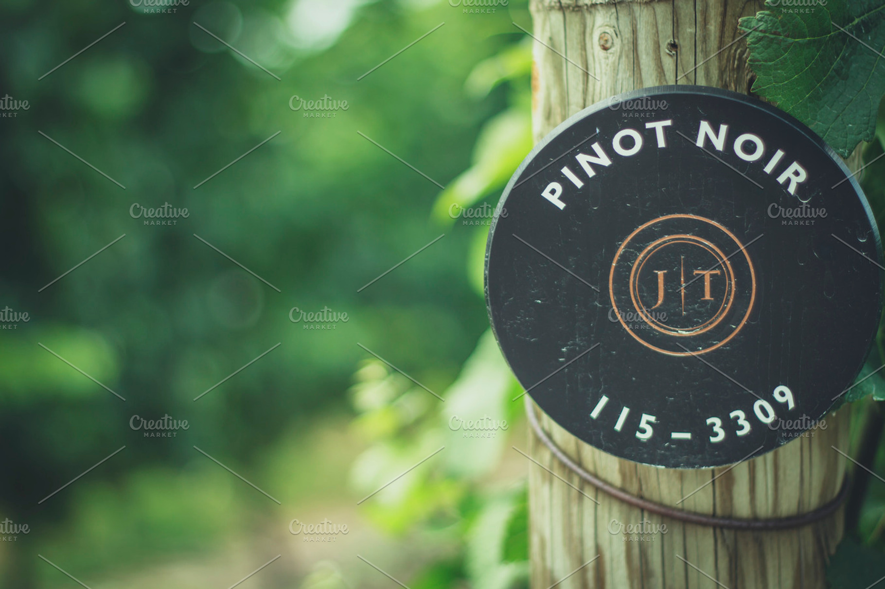 Pinot Noir