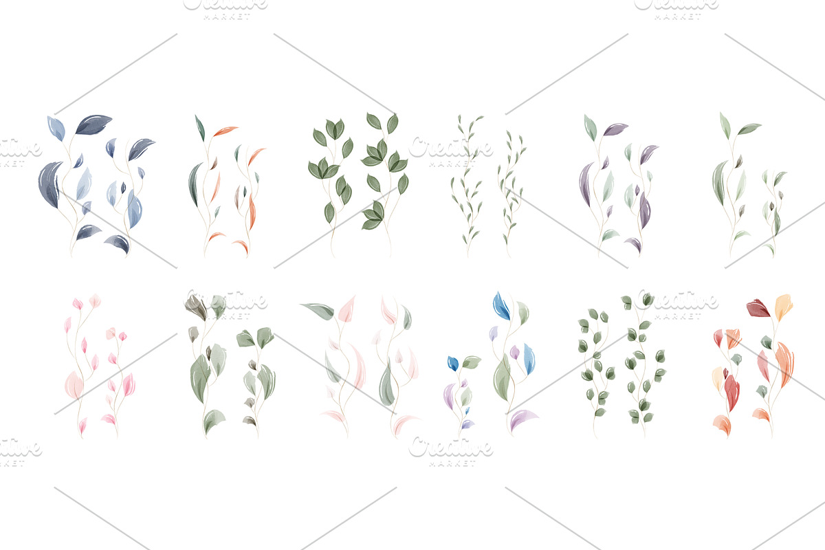 Artistic watercolor foliage elements, an Illustration by okskukuruza