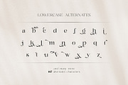 Balkind - Modern Beauty Serif Font, a Serif Font by Ekahermawan (Thumbnail 20 of 25)
