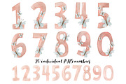 Watercolor autumn collection., a Decorative Illustration by Kira Konoshenko (Thumbnail 21 of 26)