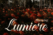 Larfioda | Elegant Script Font, a Script Font by gracetype_studio (Thumbnail 2 of 12)