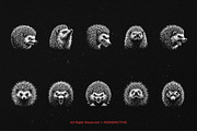 10 Bundle Dark Art Hedgehog thorns, an Illustration by Morspective (Thumbnail 6 of 7)
