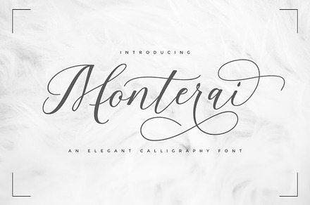 Monterai, a Script Font by cooldesignlab