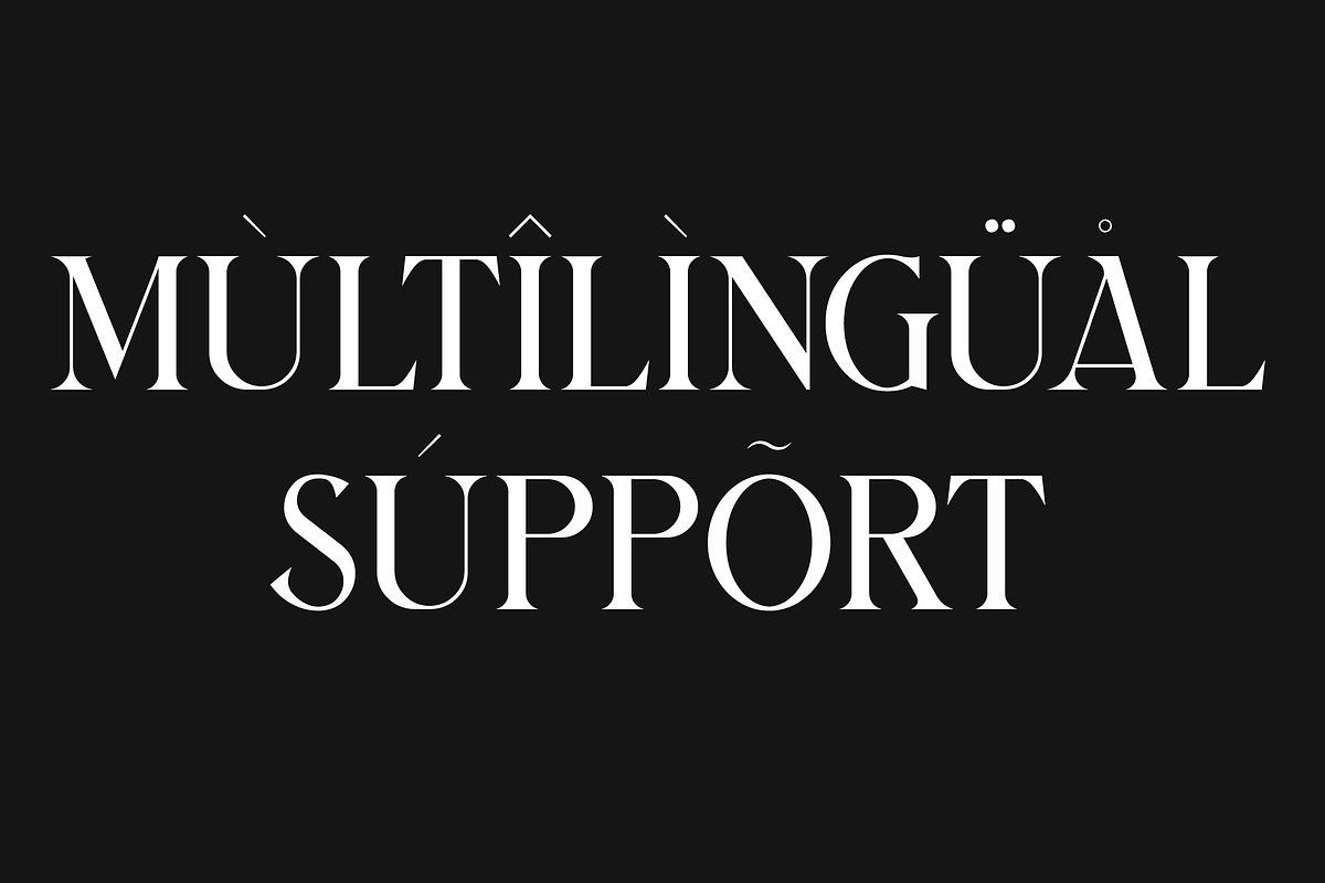 Bilargy Classic Serif Font, a Serif Font by Maryamtype Studio (Photo 8 of 15)