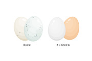 Different birds egg set, a Food Illustration by Good Studio (Thumbnail 3 of 5)