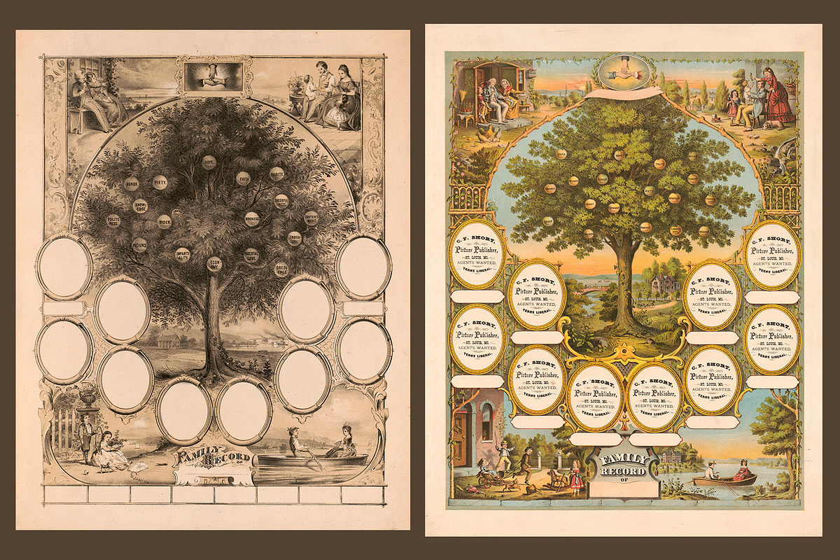 Antique Family Records - Blank, a Texture Graphic by Blue Line Design (Photo 13 of 17)