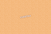 12 Cheetah and leopard skin patterns, a Pattern Graphic by Arthur Balitskiy (Thumbnail 4 of 4)