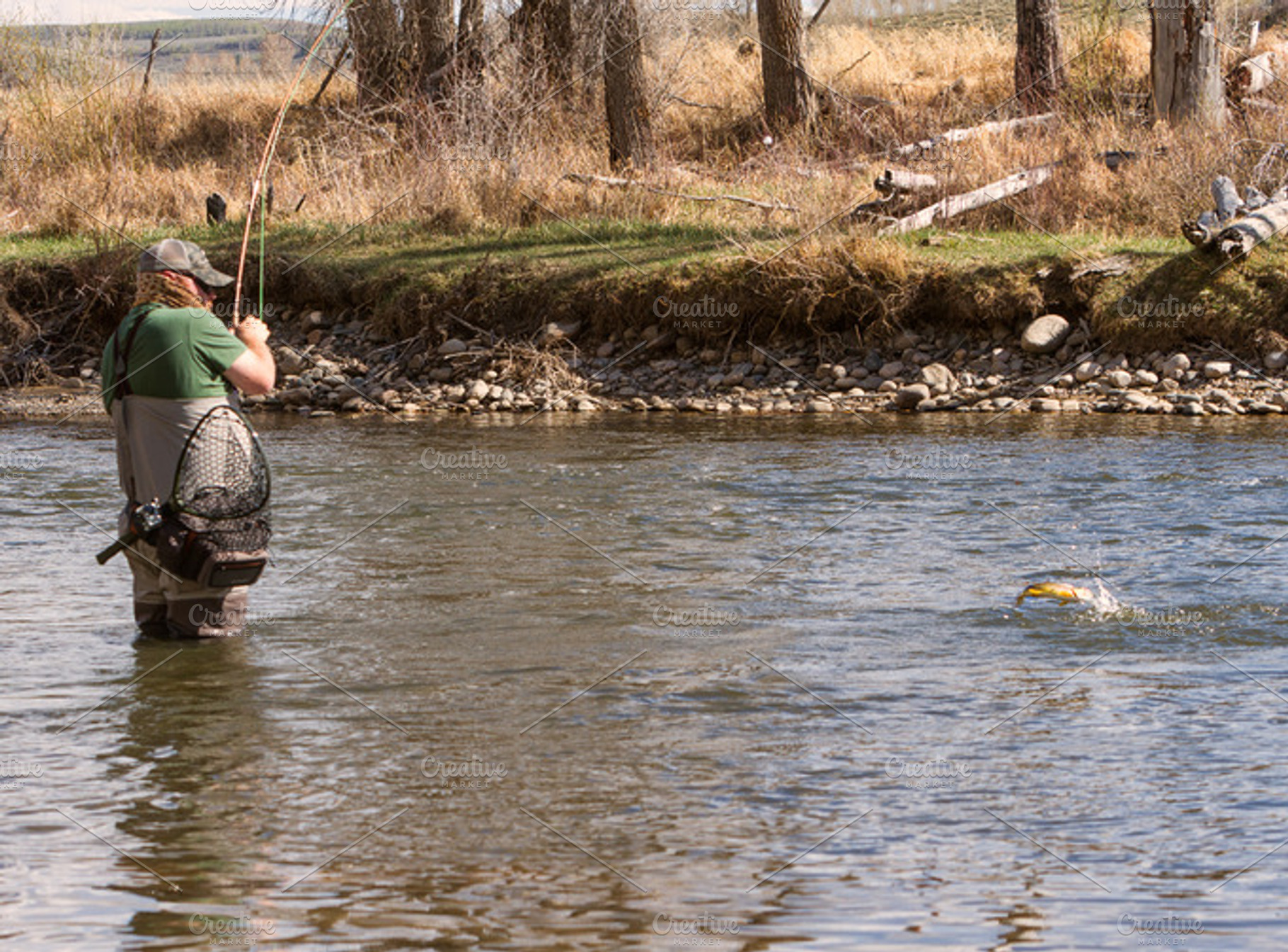 Fly fishing in the yampa river stock photo containing fly angler and fly, a Sports & Recreation Photo by RodeoPixels WesternImage