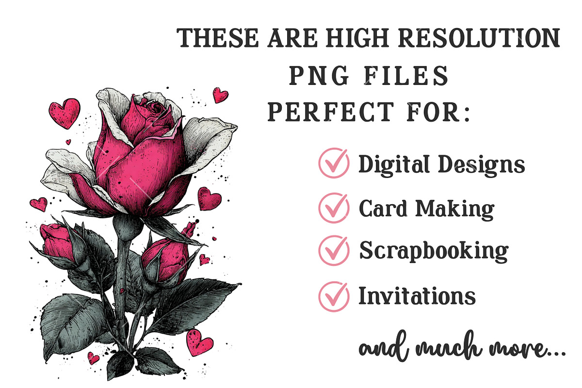 Valentine's Rose Clipart, an Illustration by OK Design (Photo 5 of 6)