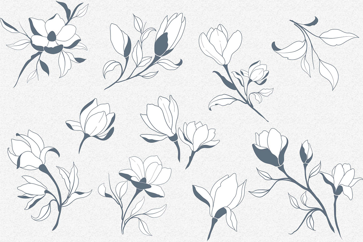 Hand Sketched Magnolia, a Decorative Illustration by Solana (Photo 2 of 10)