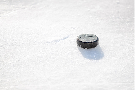 Old ice hockey puck laying in the, a Sports & Recreation Photo by serkum