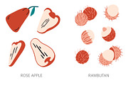 TROPICAL PARADISE patterns and friut, a Pattern Graphic by Lena Nikolaeva (Thumbnail 14 of 16)