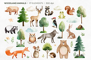 Woodland Animals. Watercolor Clipart, an Illustration by Hanna's ArtLab (Thumbnail 2 of 4)