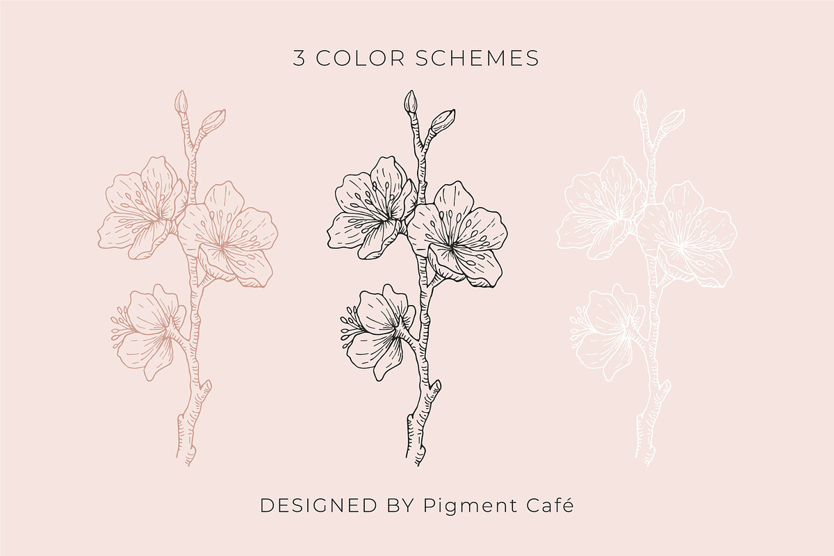 Cherry Blossoms Floral Art, a Decorative Illustration by Pigment Café (Photo 3 of 6)