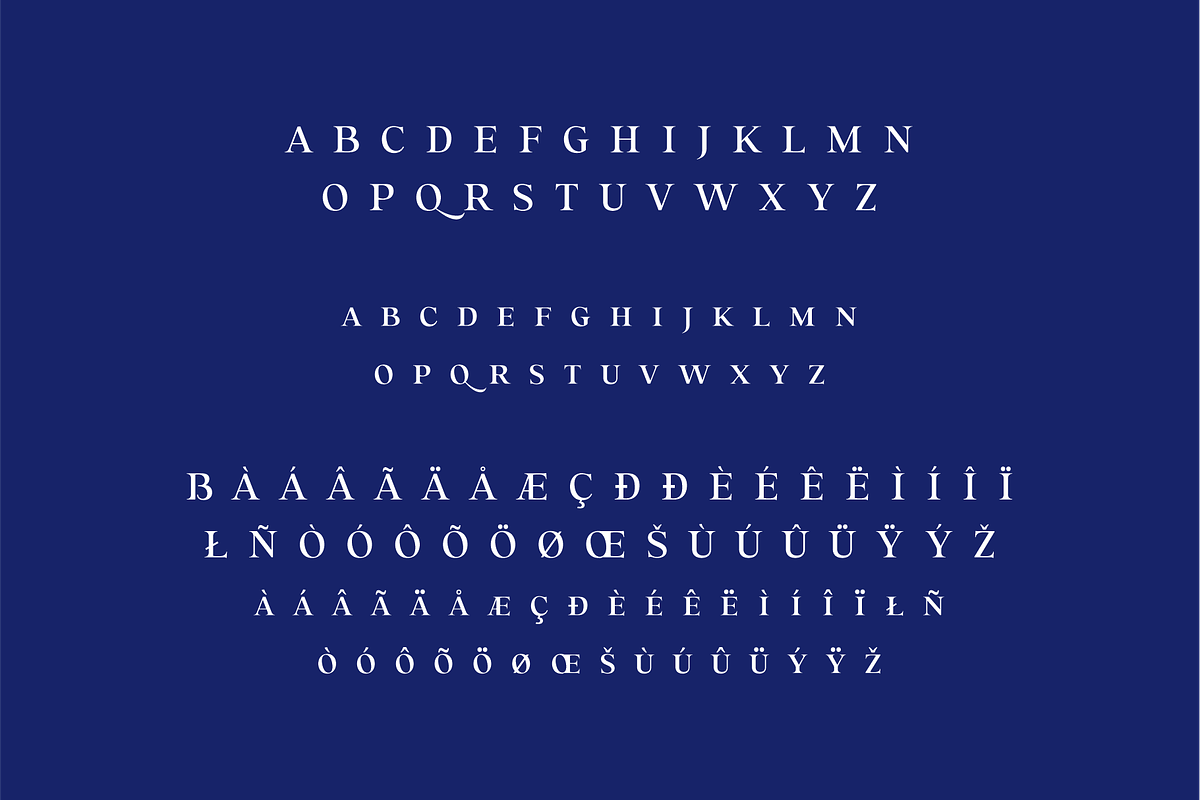 Trusted Serif Logo Font, a Serif Font by LoneArmy (Photo 9 of 11)