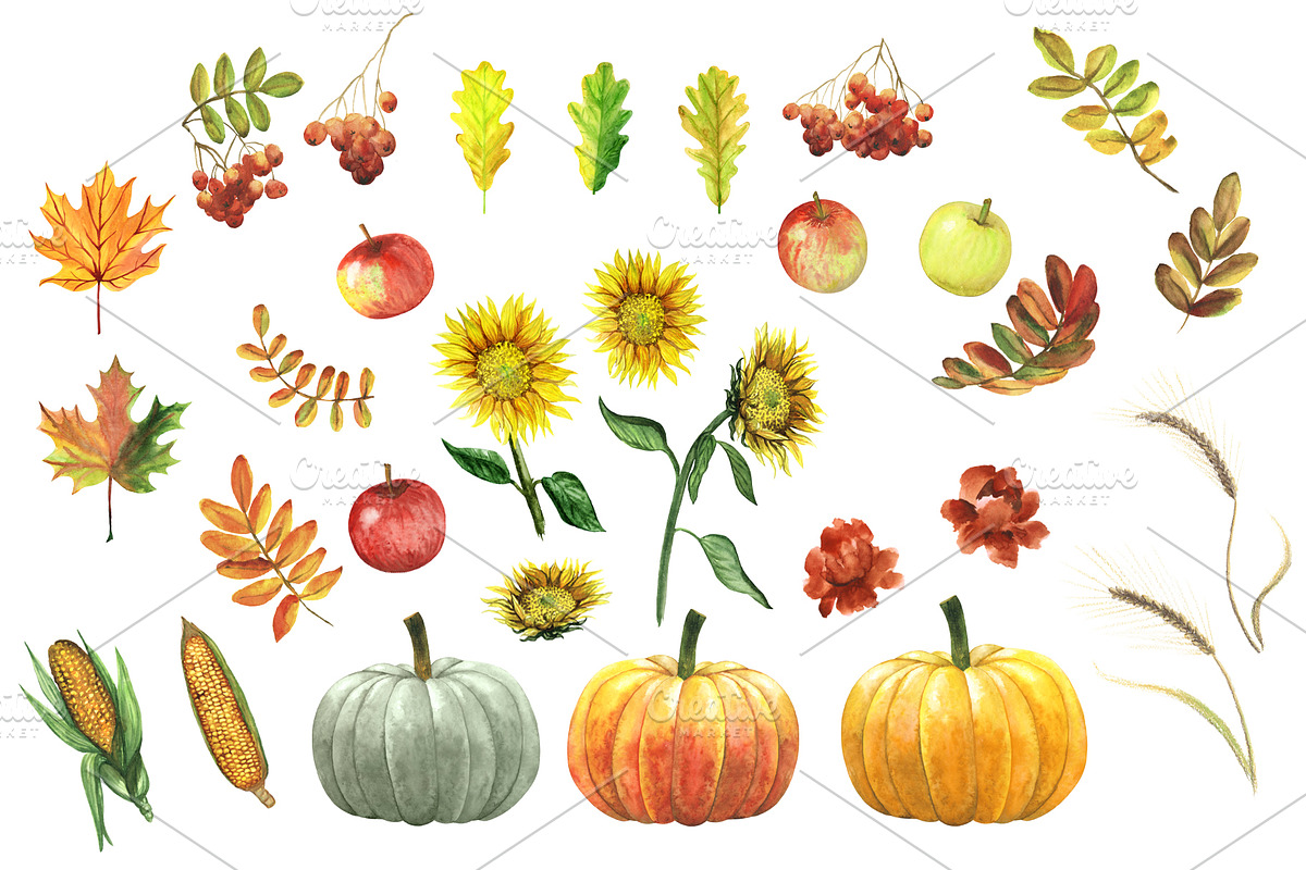Autumn Harvest Collection, a Food Illustration by Sveta Aho (Photo 3 of 3)