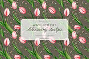 Blooming tulips. Watercolor set, a Pattern Graphic by Ola_Vola (Thumbnail 1 of 9)