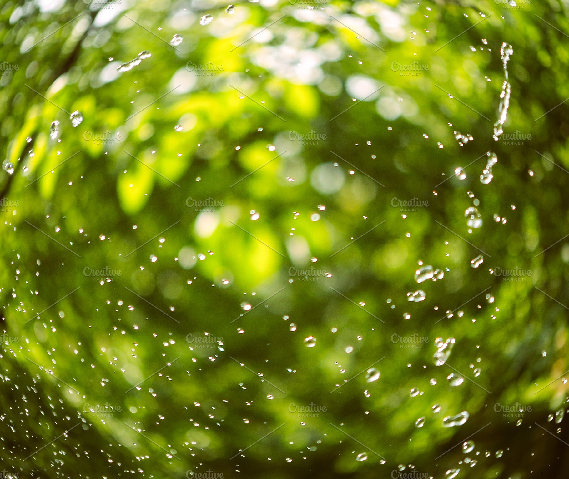 water drops texture on green garden, a Nature Photo by Famapictura