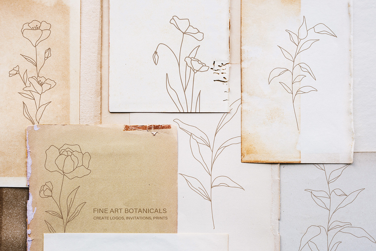 Botanical Line Art Illustrations V1, a Texture Illustration by Kaya Fonts (Photo 7 of 9)