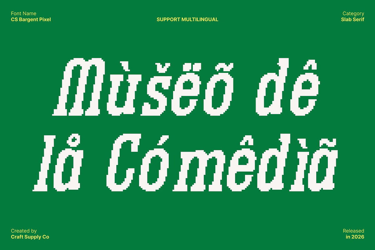 CS Bargent Pixel, a Slab Serif Font by Craft Supply Co. (Photo 5 of 8)