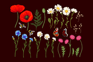 Meadow Flowers Pattern