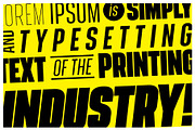 SeBlack Sans Serif Font family, a Sans Serif Font by beetlepixels (Thumbnail 6 of 7)