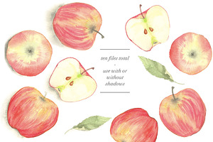 Watercolor Apples