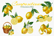 Lemon — Watercolor Illustration Set, a Food Illustration by Andre_Eva (Thumbnail 3 of 12)