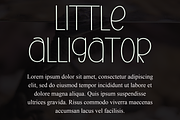 Cute Alligator, a Serif Font by FreshTypeINK (Thumbnail 8 of 8)