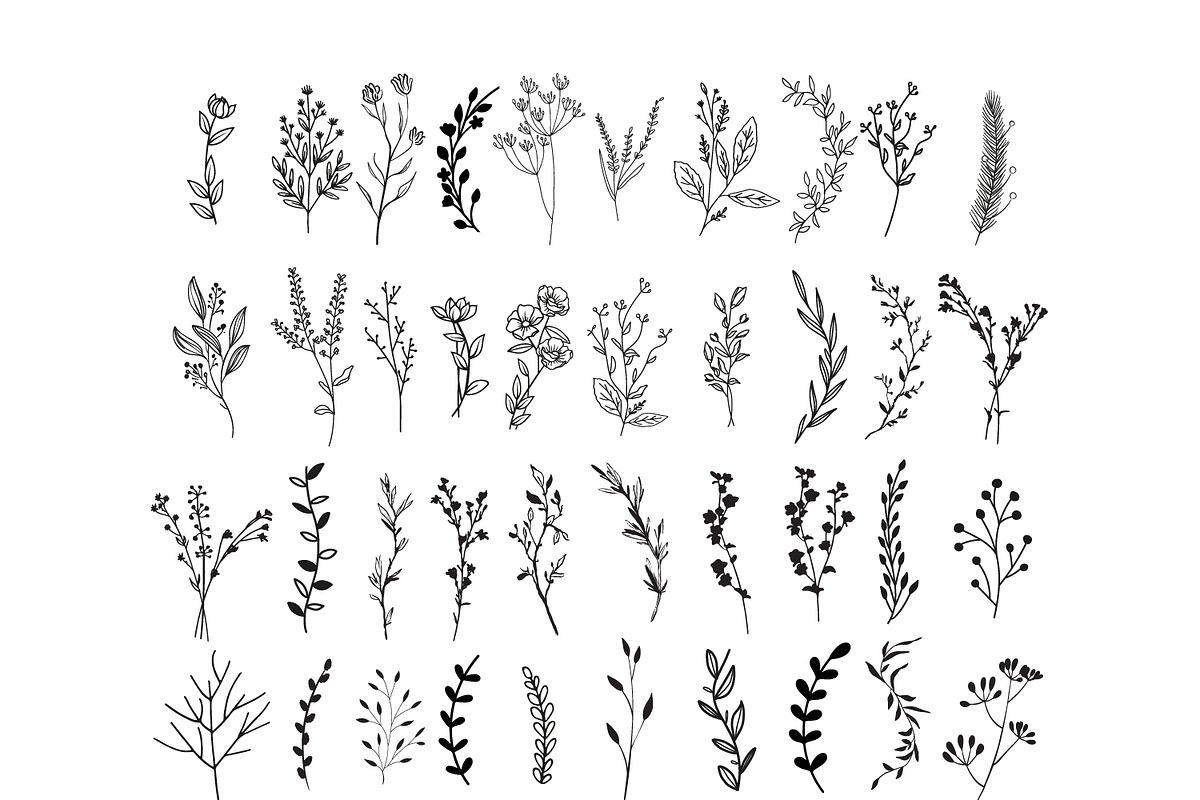170 Wildflowers Line Art Botanicals, an Illustration by LifestyleCraftCo (Photo 6 of 7)