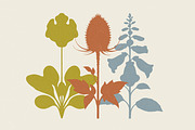 Vintage Botanical: 100 Illustrations, an Object Illustration by Veyla (Thumbnail 4 of 15)