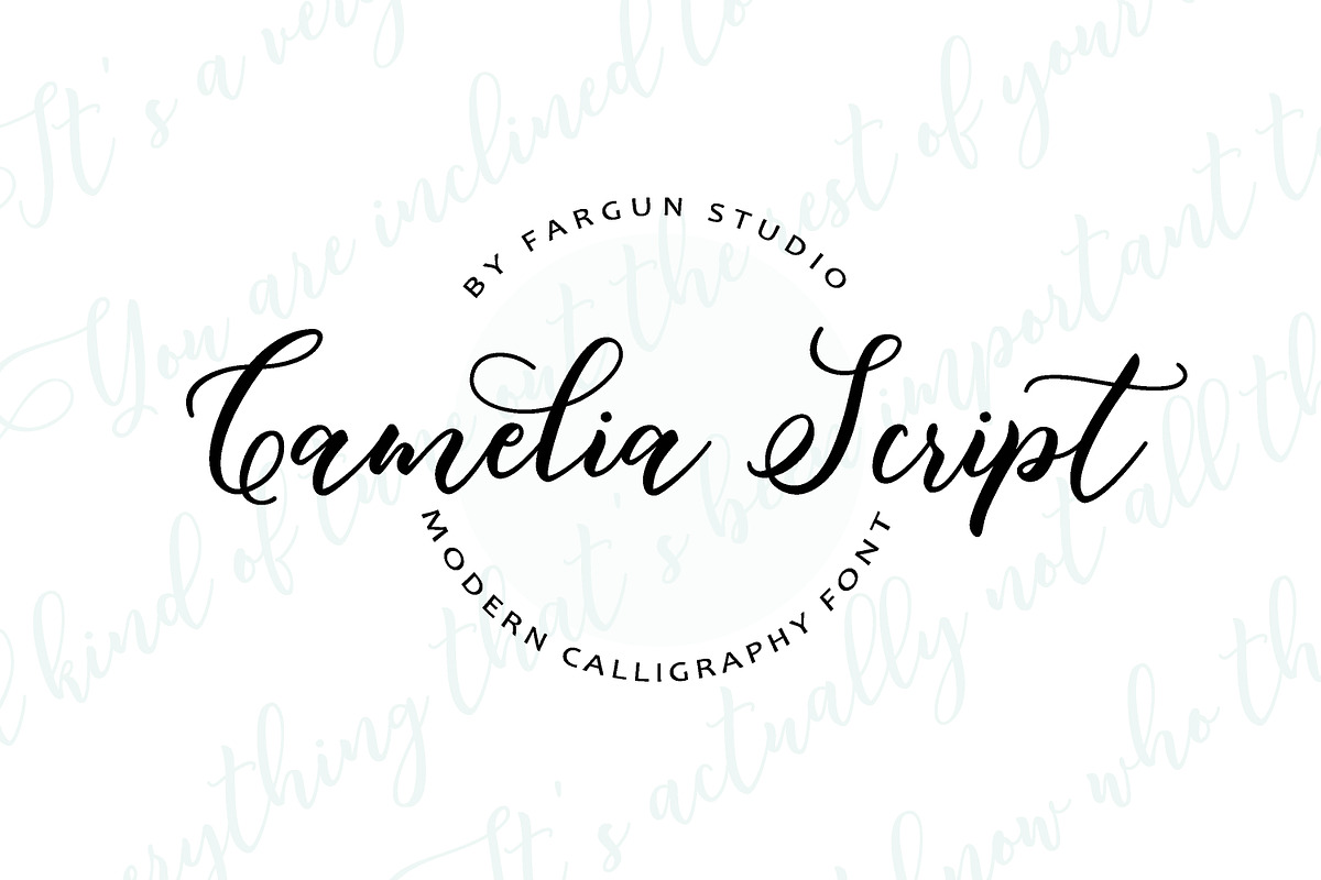 Camelia Script, a Script Font by Fargun Studio (Photo 14 of 14)