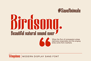 Wingstone, a Sans Serif Font by Omotu Studio (Thumbnail 4 of 12)