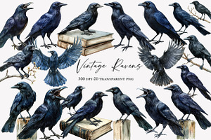 Vintage Ravens and Crows Clipart, an Illustration by Designworld