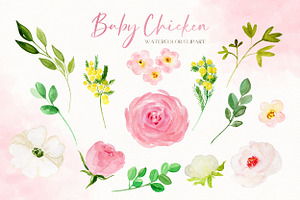 Baby Chicken. Watercolor Clipart