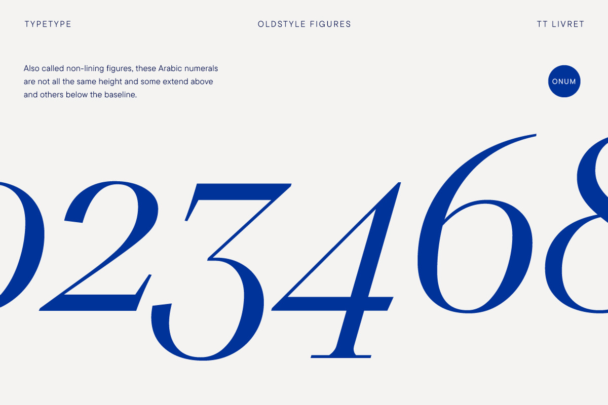 TT Livret, a Serif Font by TypeType (Photo 14 of 15)