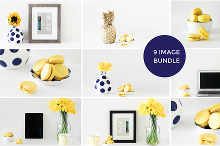 Yellow + Navy Styled Stock Bundle
