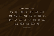 Soraya Elegant Display Serif Font, a Serif Font by Perfectype (Thumbnail 8 of 8)