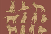 Dogs Graphic Collection, an Illustration by Ben studio (Thumbnail 2 of 3)