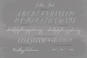Callem, a Script Font by Genesis Lab (Thumbnail 6 of 7)