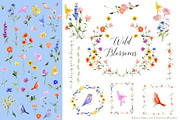 Wild Flowers - Watercolor Clipart, an Object Illustration by RhianAwni (Thumbnail 1 of 7)