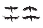 Black raven crow body and wings., an Object Graphic by DeShoff Art (Thumbnail 2 of 8)